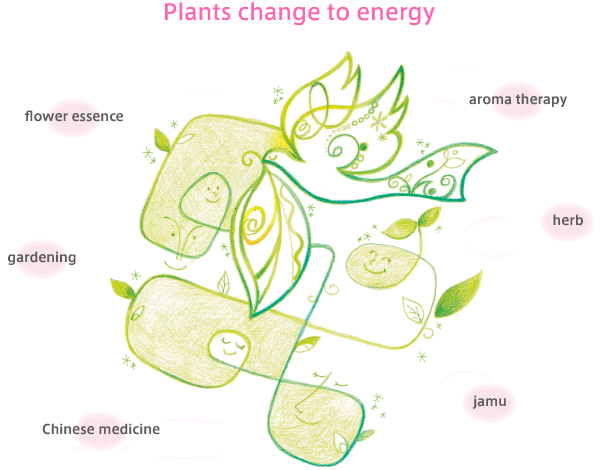 Plants change to energy