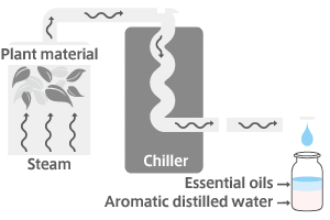Vapor distillation