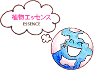 植物エッセンス