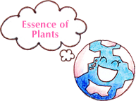 essence of plants