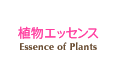植物エッセンス